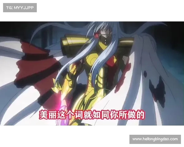 圣斗士冥王神话全集安装常见问题解析与解决方法