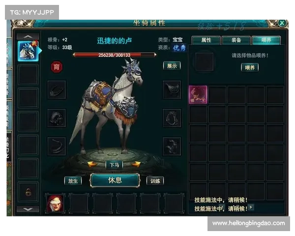 御龙在天五大功勋荣耀提升技巧与方法解析助你快速成长