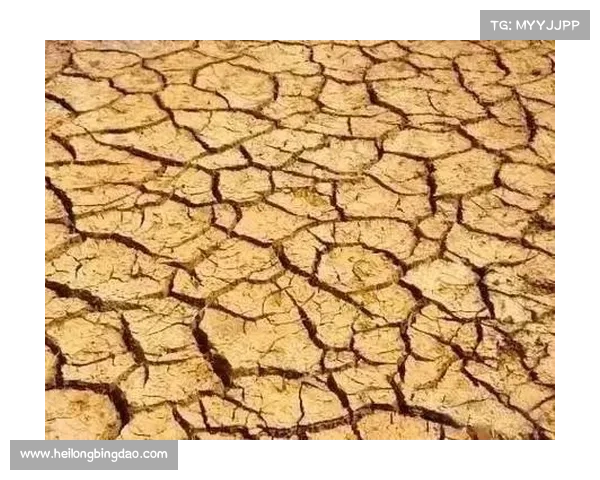 那些看似微小却可能导致无法挽回致命后果的错误解析