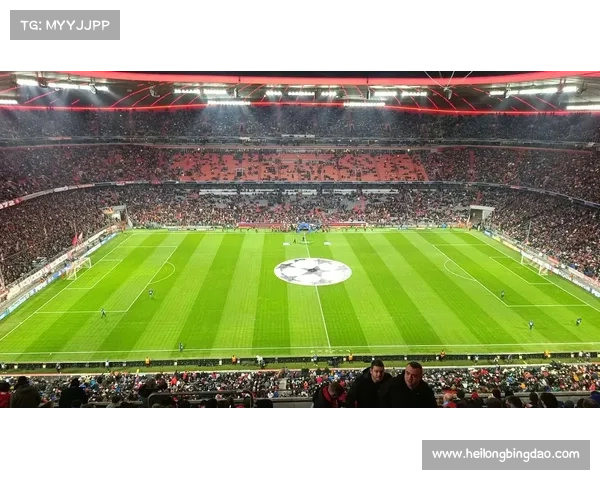 从安联到拜仁主场探秘体育场名称背后的品牌故事