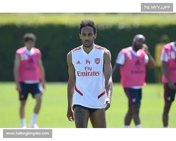 奥巴梅扬拒绝法国队背后的真相揭示其为荣誉与信念所做抉择