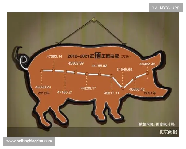 2023年欧洲国家联赛比赛何时开始以及相关赛事安排详解
