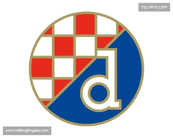 如何为萨格勒布迪纳摩足球俱乐部的粉丝提供支持与帮助