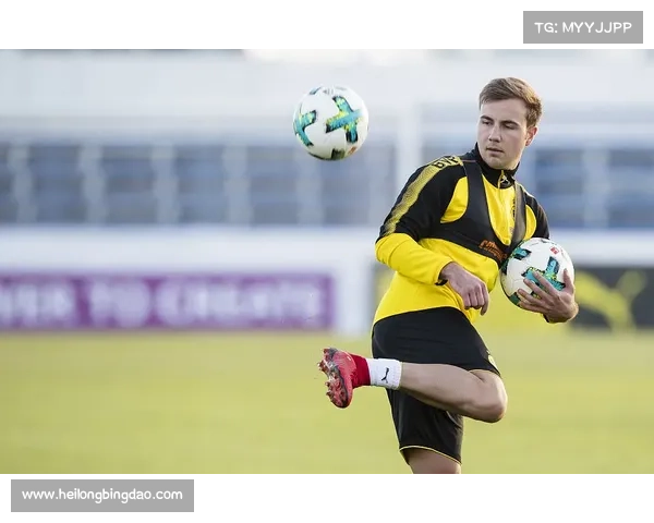 德甲赛季球队关系与动态深度分析揭示新趋势